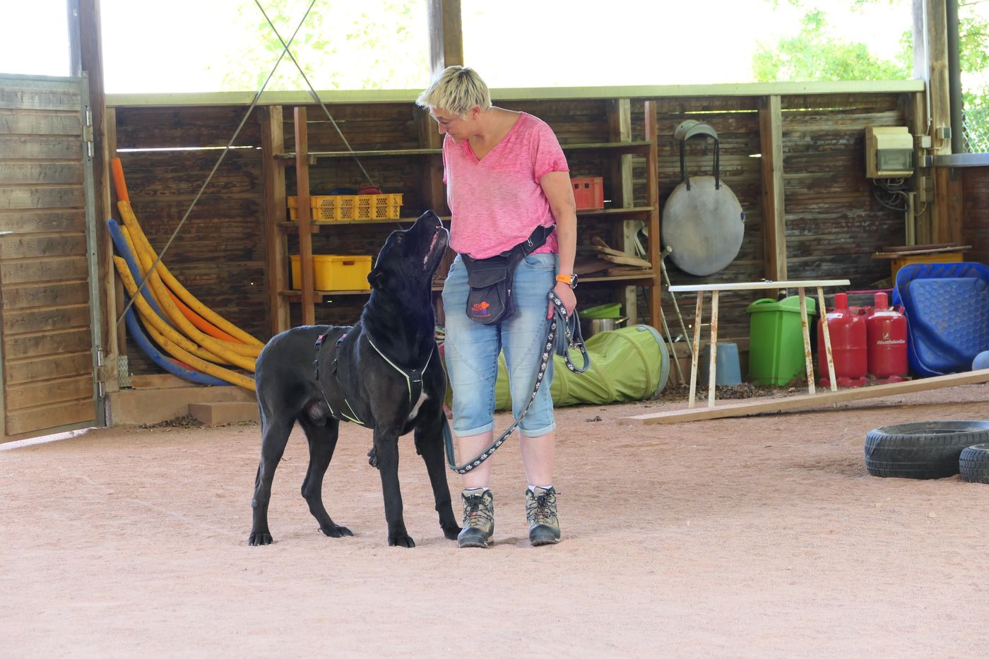 Ein Hund schaut Mirjam Cordt aufmerksam an