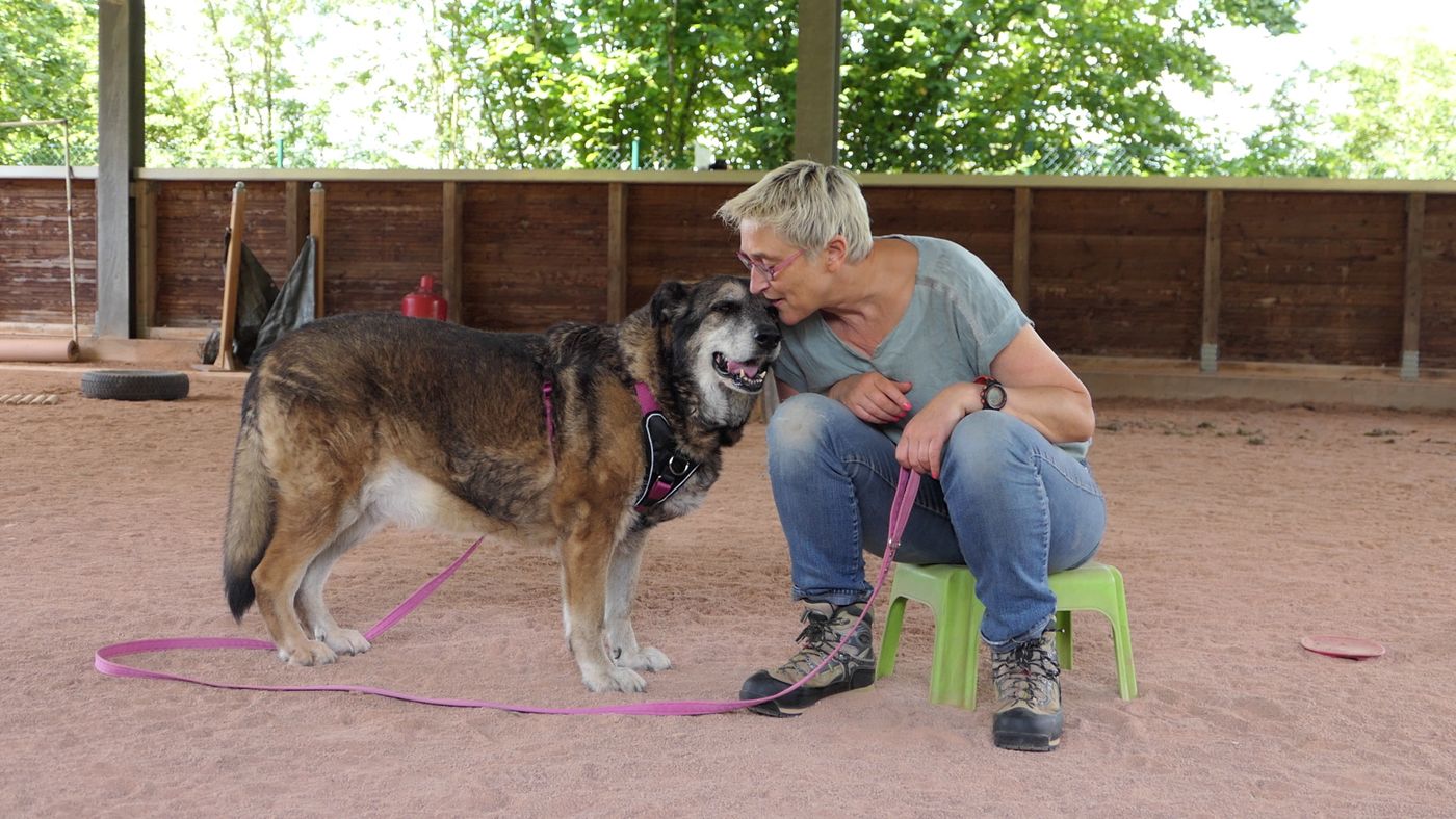 Mirjam Cordt führt einen Hund ruhig und sicher
